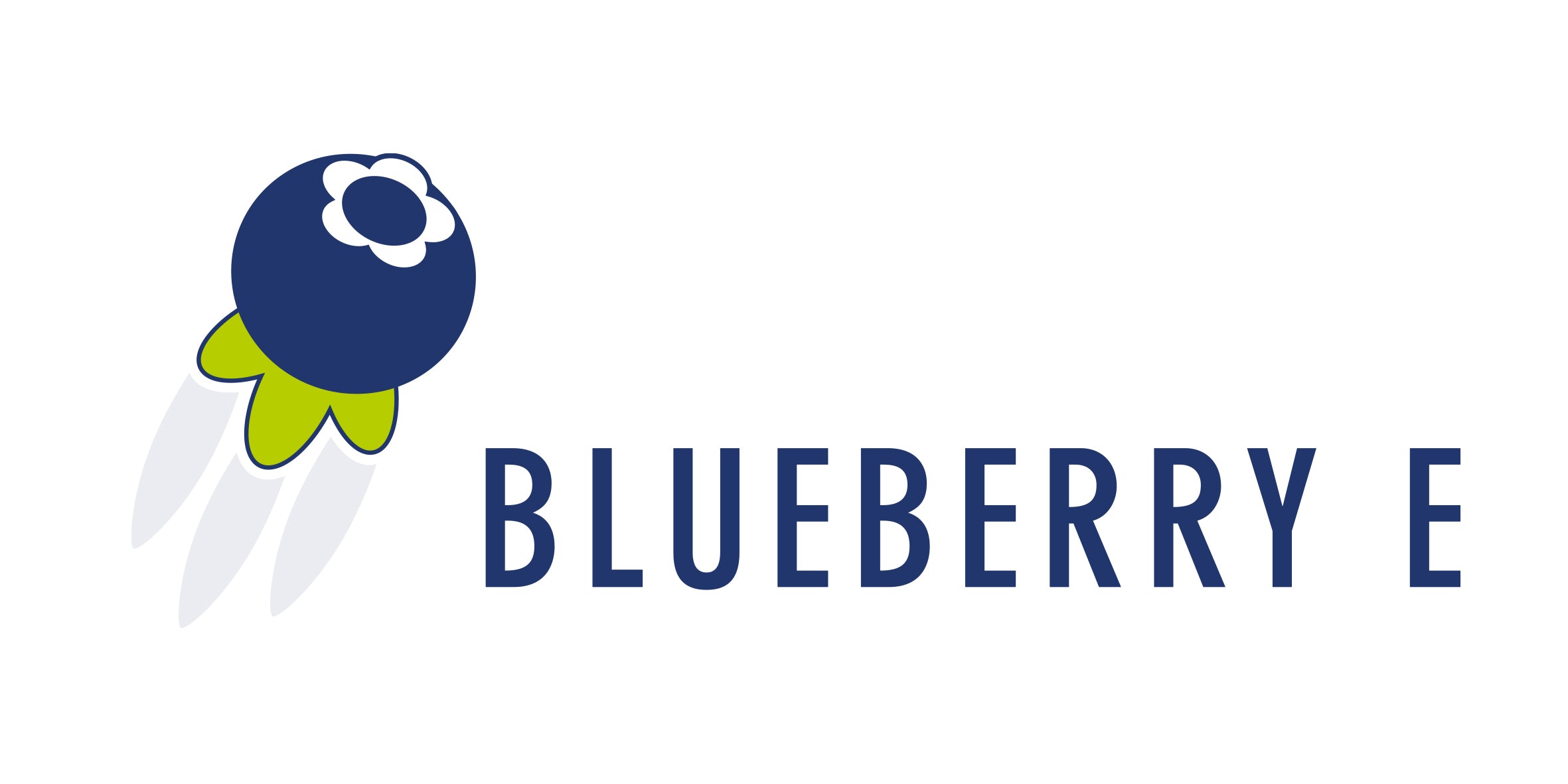 BlueberryE